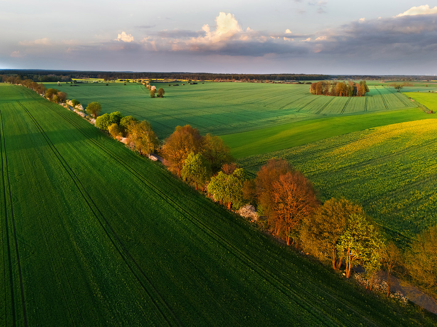 Felder bei Koepernitz Brandenburg