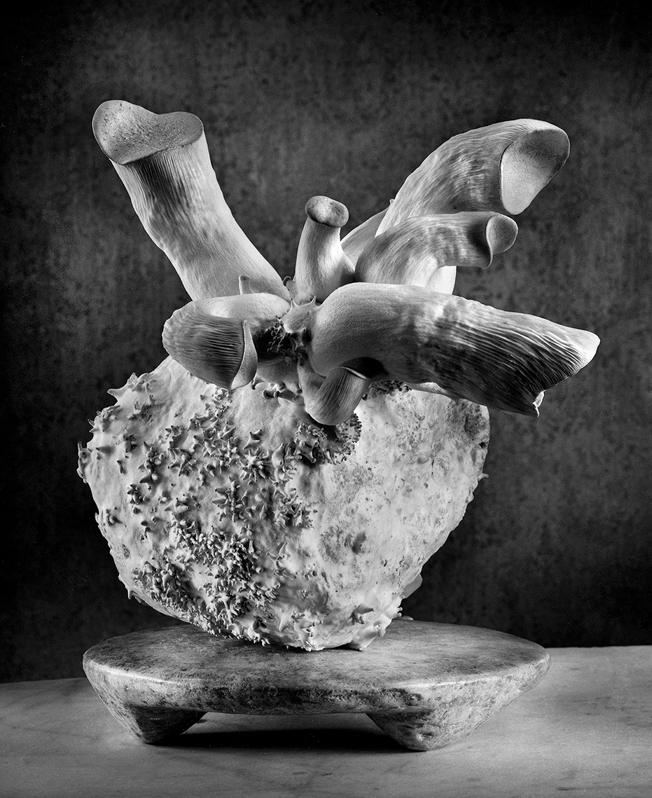 winning entry: Das kalte Herz