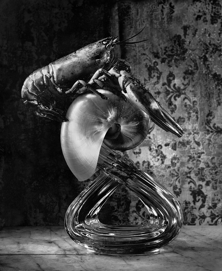 winning entry: Reminiszenz